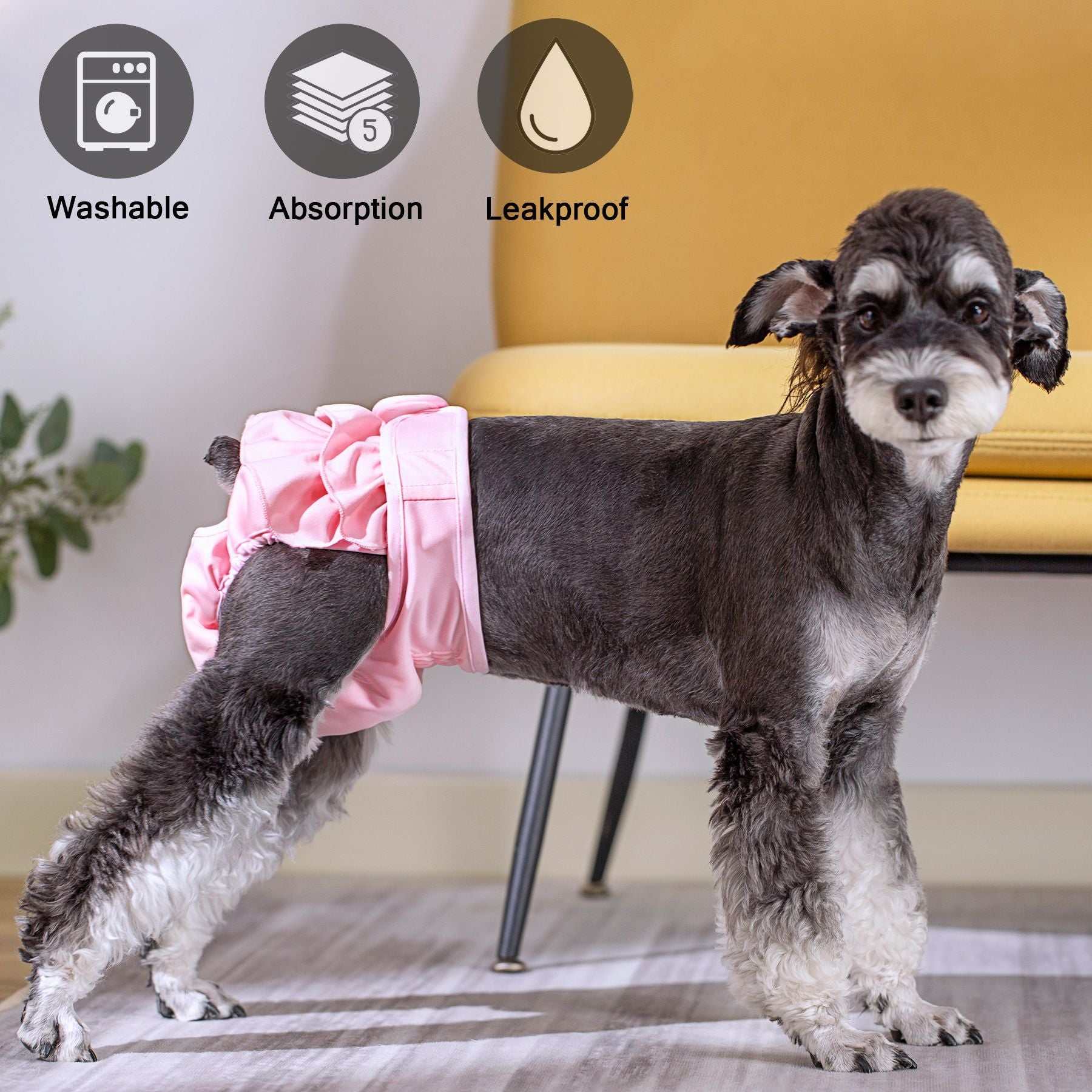 Ceinture physiologique pour animaux | Confort, hygiène & élégance