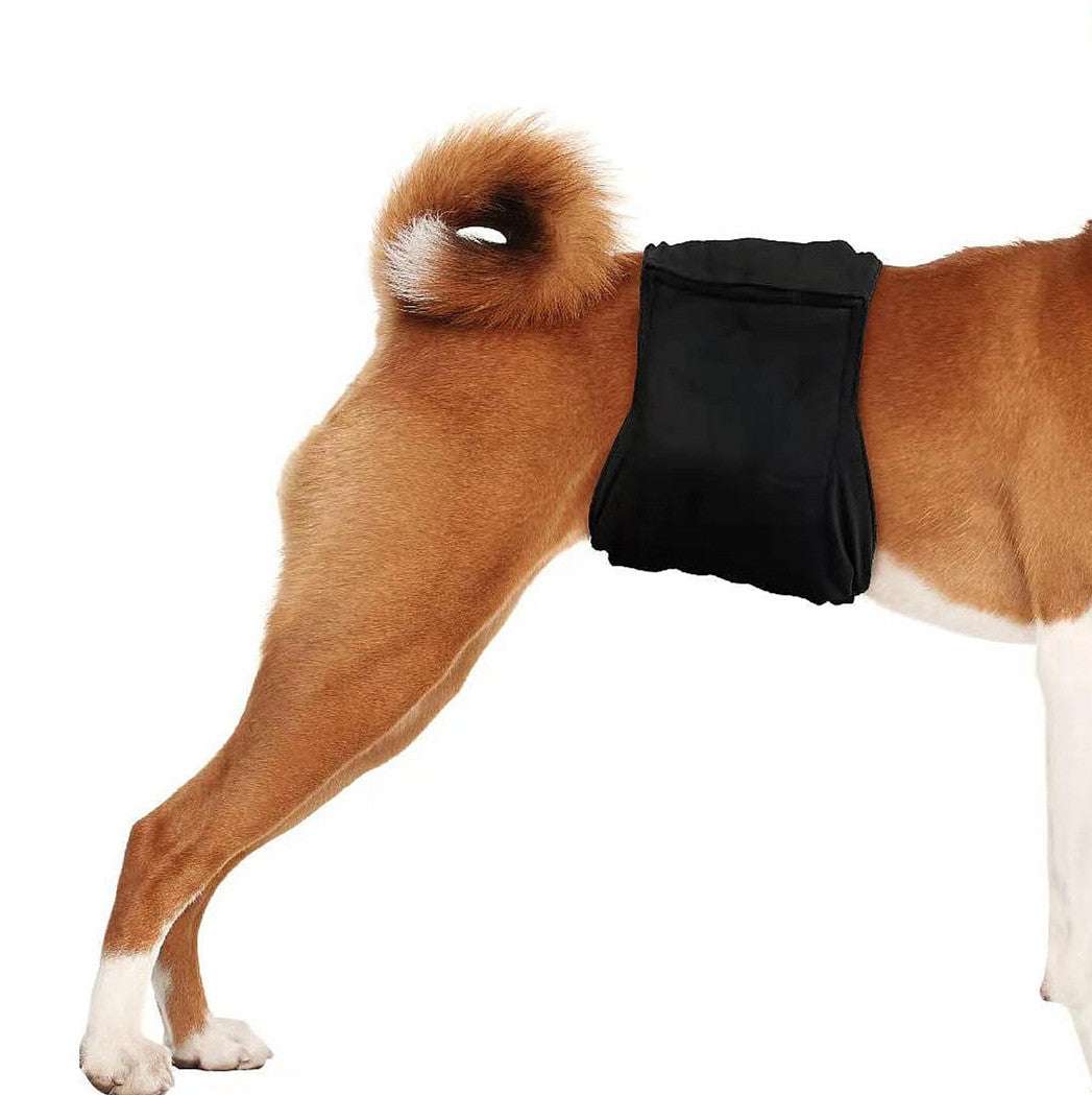 Ceinture physiologique pour chiens | Confort, propreté & protection