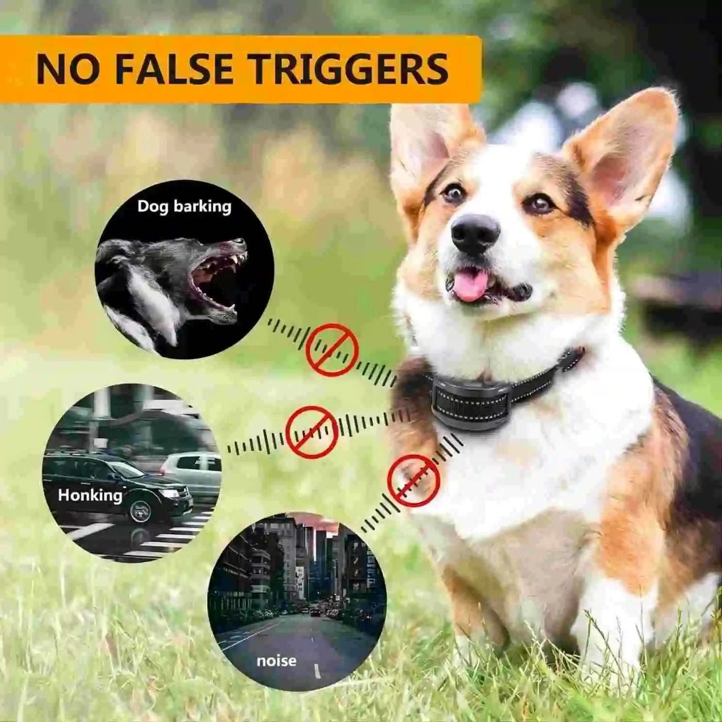Collier Anti-Aboiement pour Chiens | Rechargeable, Étanche & Intelligent