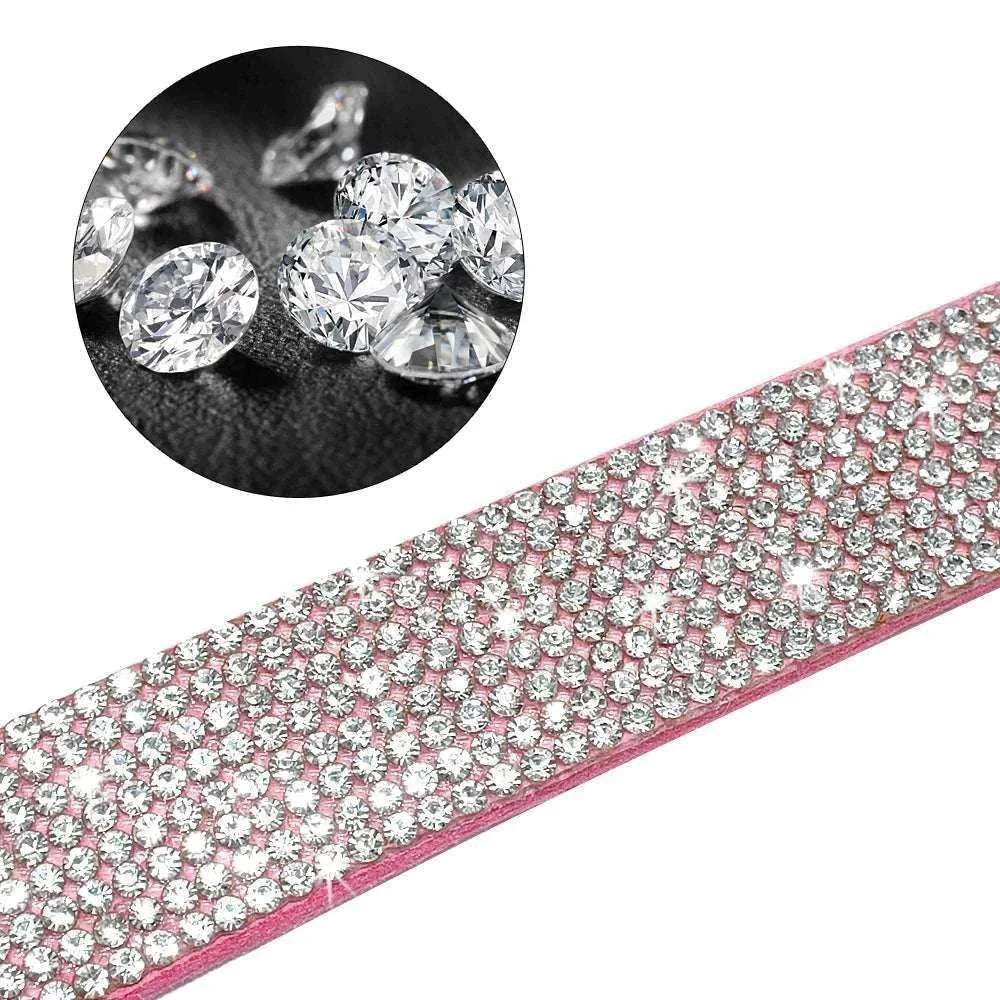 Collier et laisse vue de proche