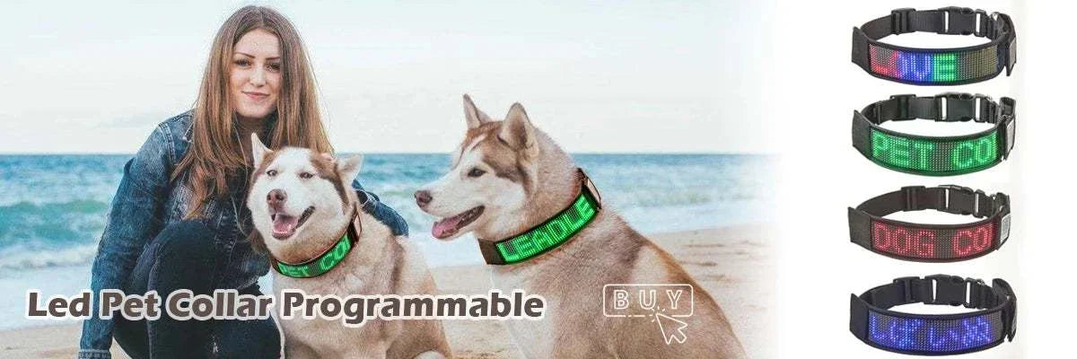 Collier LED Programmable Chien
