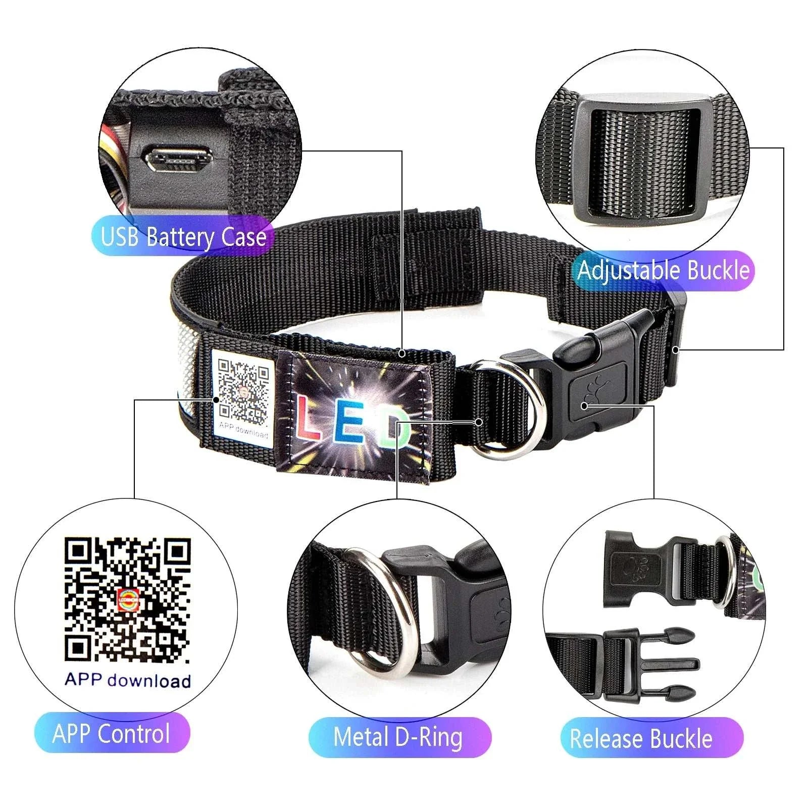 Collier LED Programmable Chien | Informations