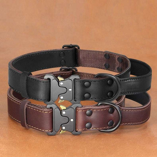 Collier en Cuir Résistant pour Grand Chien et Laisse de Traction - Haute Qualité
