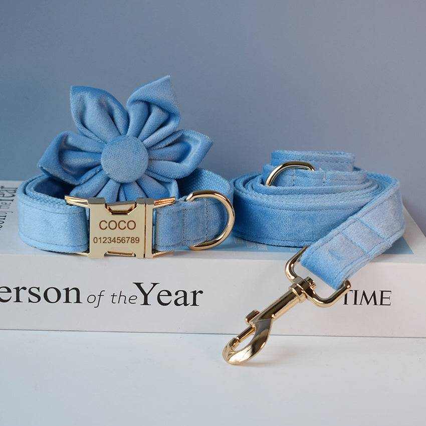 Collier velours bleu pour chat avec laisse assortie, nœud papillon et plaque gravée dorée.
