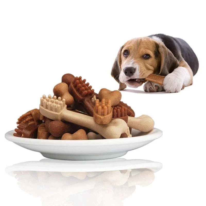 Friandises Yaho | Collation savoureuse et saine pour chiens