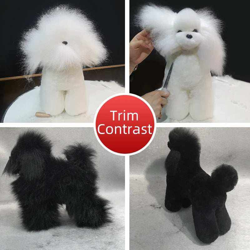 modèle de chien factice professionnel pour toilettage apprentissage simulation réaliste tissu et structure squelette idéal pour étudiants et groomers en formation