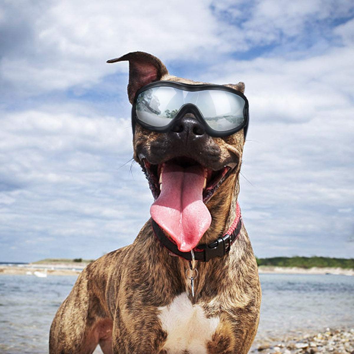Gafas de sol UV para perros | Protección y estilo con correas ajustables