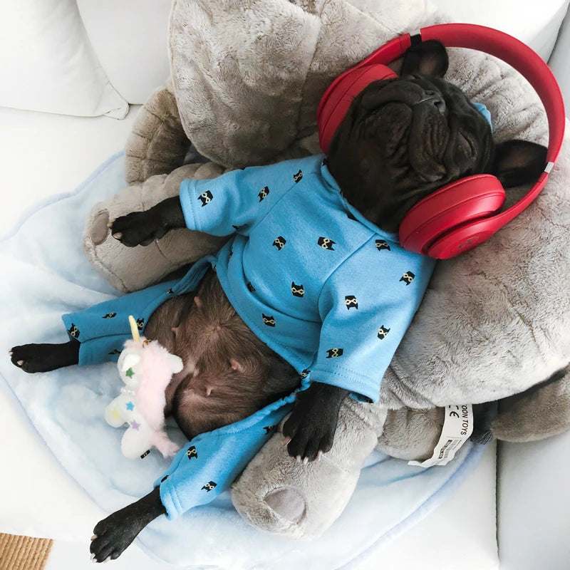 Pyjama chaud pour chiens | Sweat à capuche douillet d’hiver
