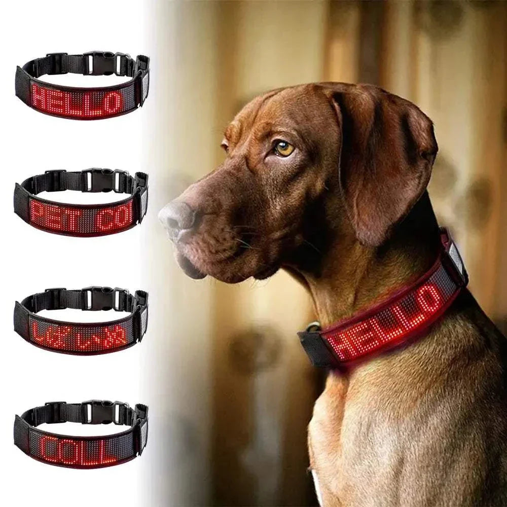 Collier LED Programmable Chien | Texte Défilant & Rechargeable