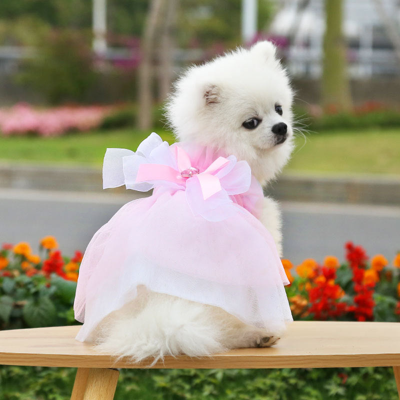 Robe de Mariage pour Chien et Chat | Vêtement de Princesse | Dentelle