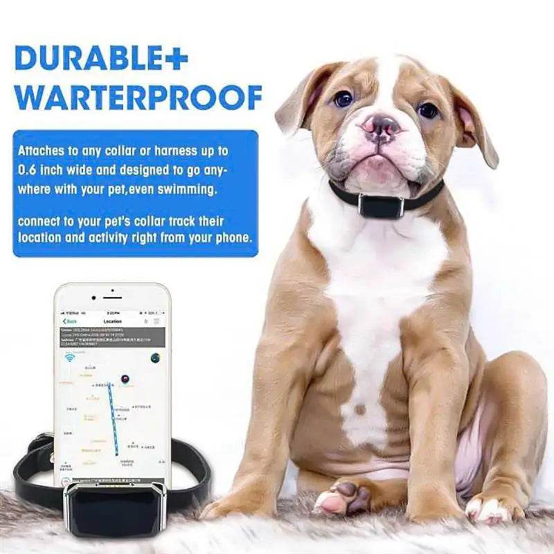 Collar GPS impermeable para perros y gatos | Seguimiento en tiempo real