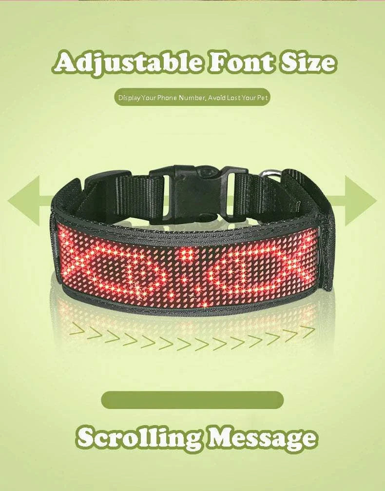 Collier LED Programmable Chien