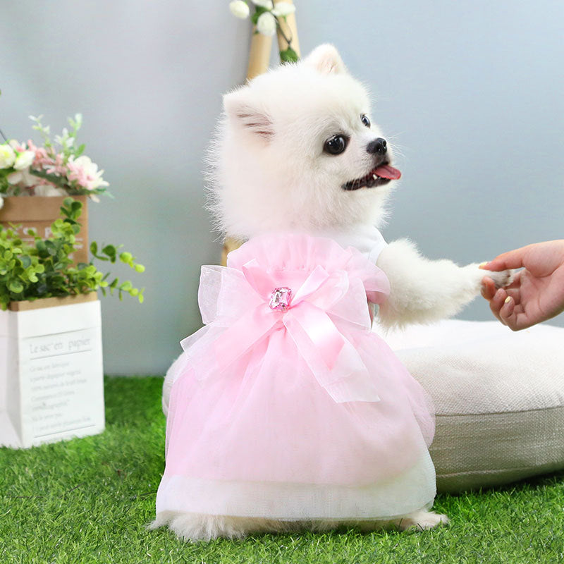 Robe de Mariage pour Chien et Chat | Vêtement de Princesse | Dentelle