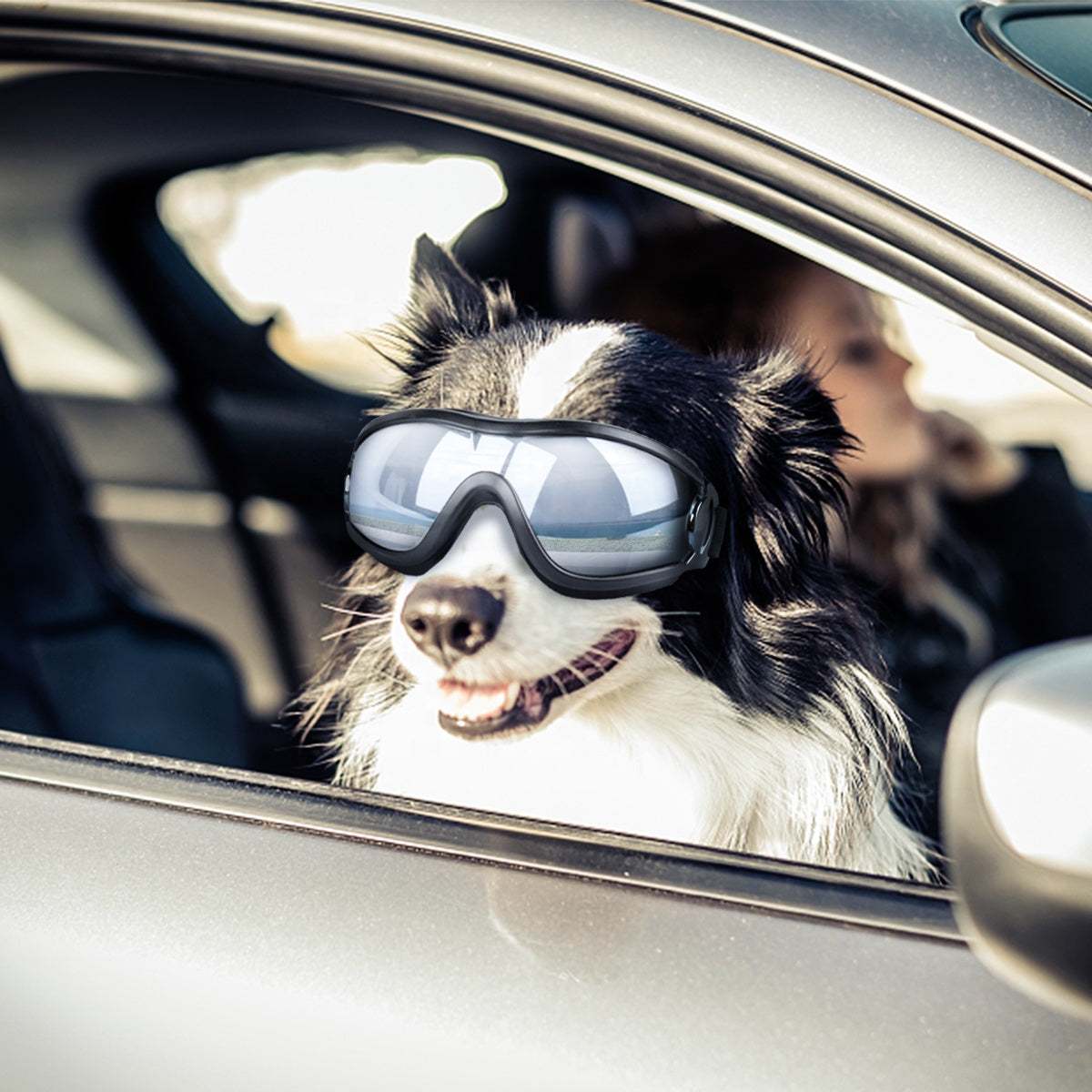 Lunettes de soleil UV pour chiens | Protection et style avec sangles ajustables