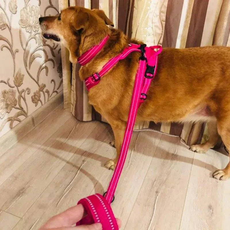 Chien marron équipé d'un harnais et laisse Truelove fuchsia rembourrée avec coutures réfléchissantes 3M pour promenade sécurisée