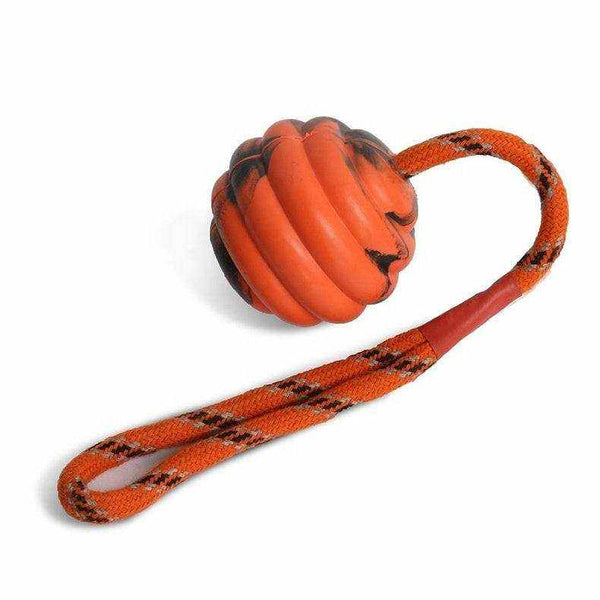 Balle d'exercice pour Chiens | Jouet à Mâcher avec Corde Résistante