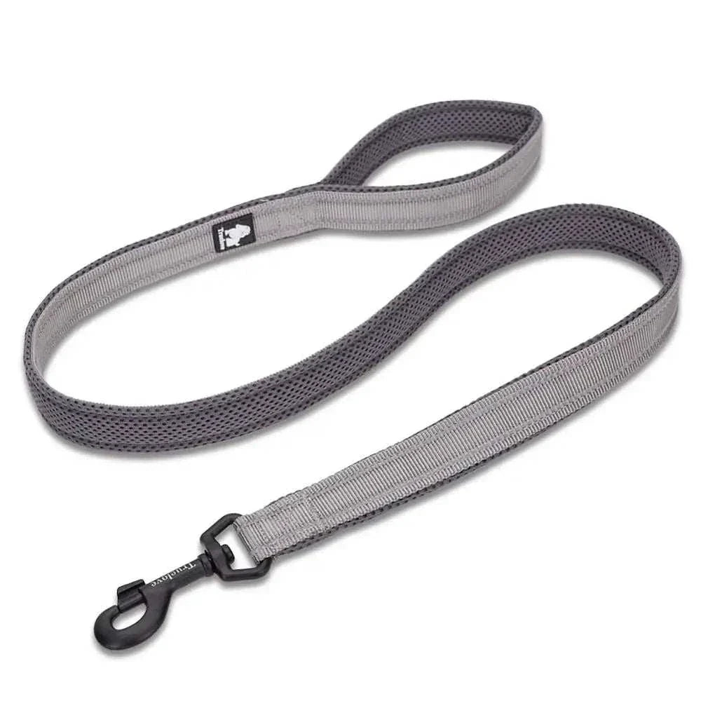 laisse chien 110 cm grise Truelove rembourrée avec poignée en maille respirante et coutures réfléchissantes 3M pour promenade sécurisée et durable