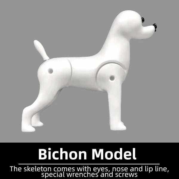 Modèle factice professionnel de chien Bichon pour simulation réaliste de toilettage et formation pratique