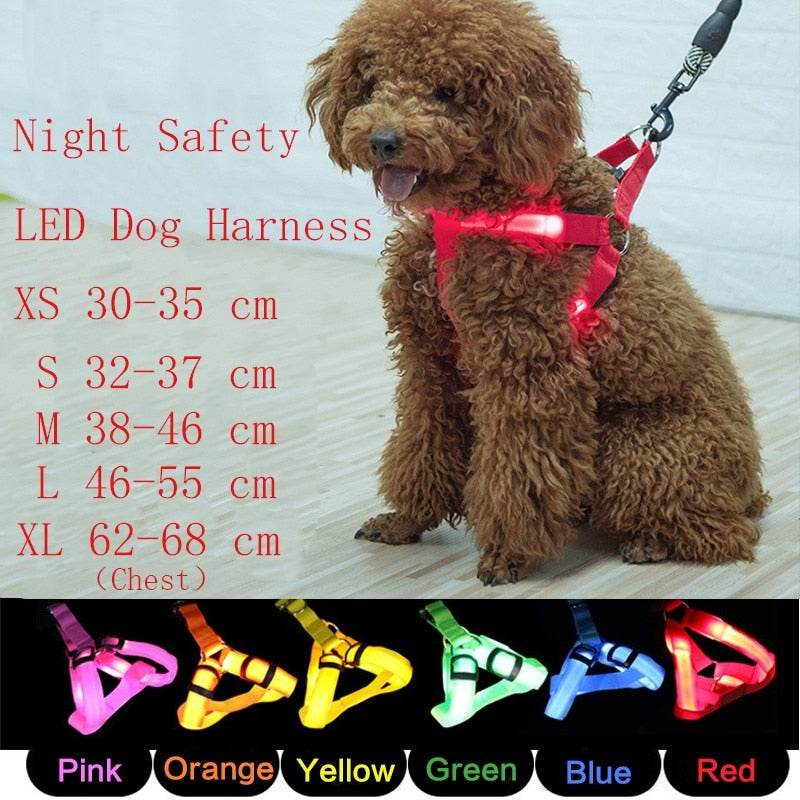 Arnés con luz LED para perros y gatos: visibilidad, seguridad y comodidad