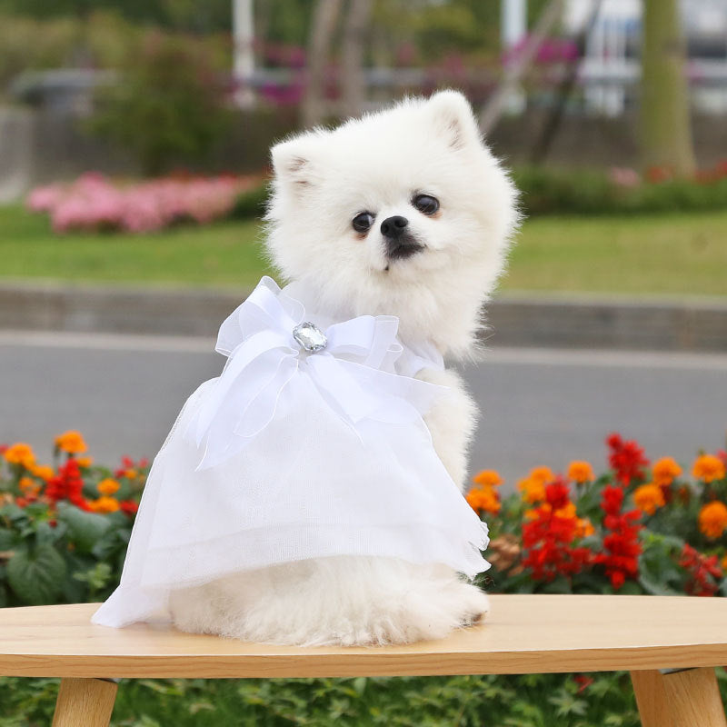 Robe de Mariage pour Chien et Chat | Vêtement de Princesse | Dentelle