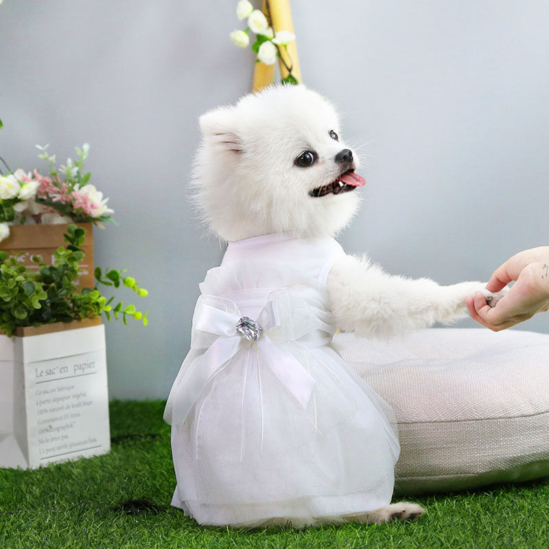 Robe de Mariage pour Chien et Chat | Vêtement de Princesse | Dentelle