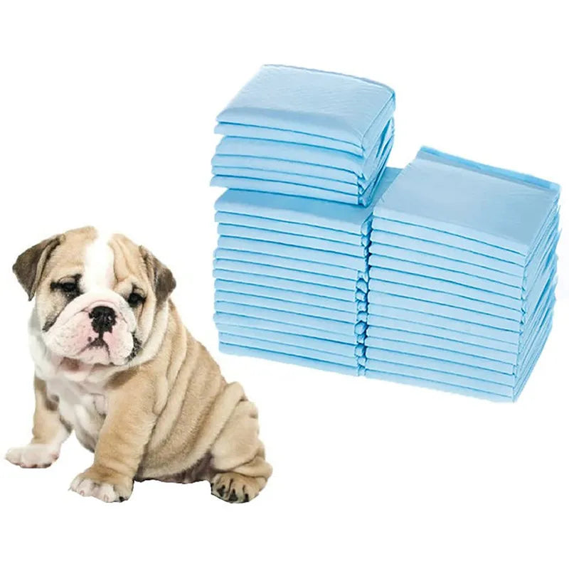 Disposable Dog and Cat Toilet Pads and Diapers - Absorbent, Waterproof and Quick Drying