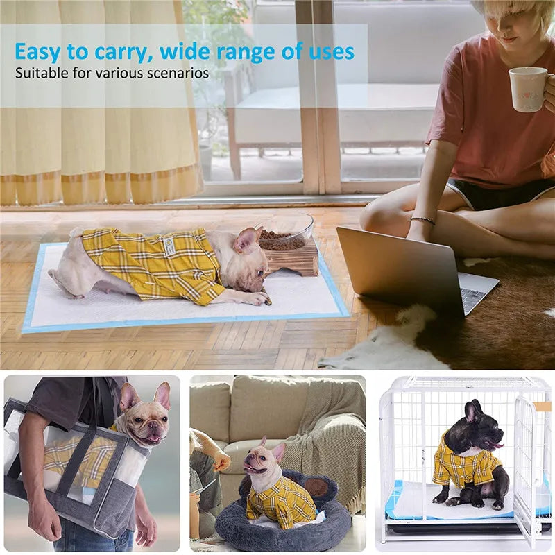 Disposable Dog and Cat Toilet Pads and Diapers - Absorbent, Waterproof and Quick Drying