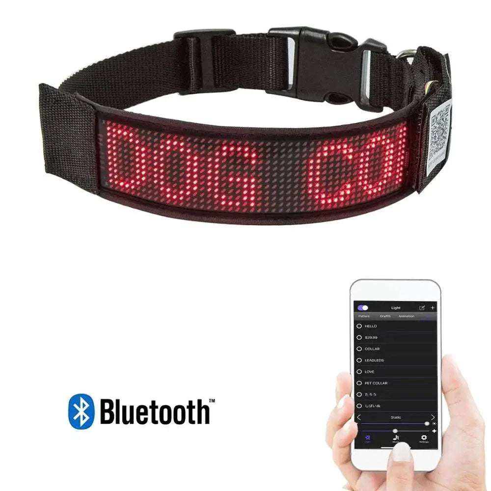 exemple de programmation du Collier LED Programmable Chien