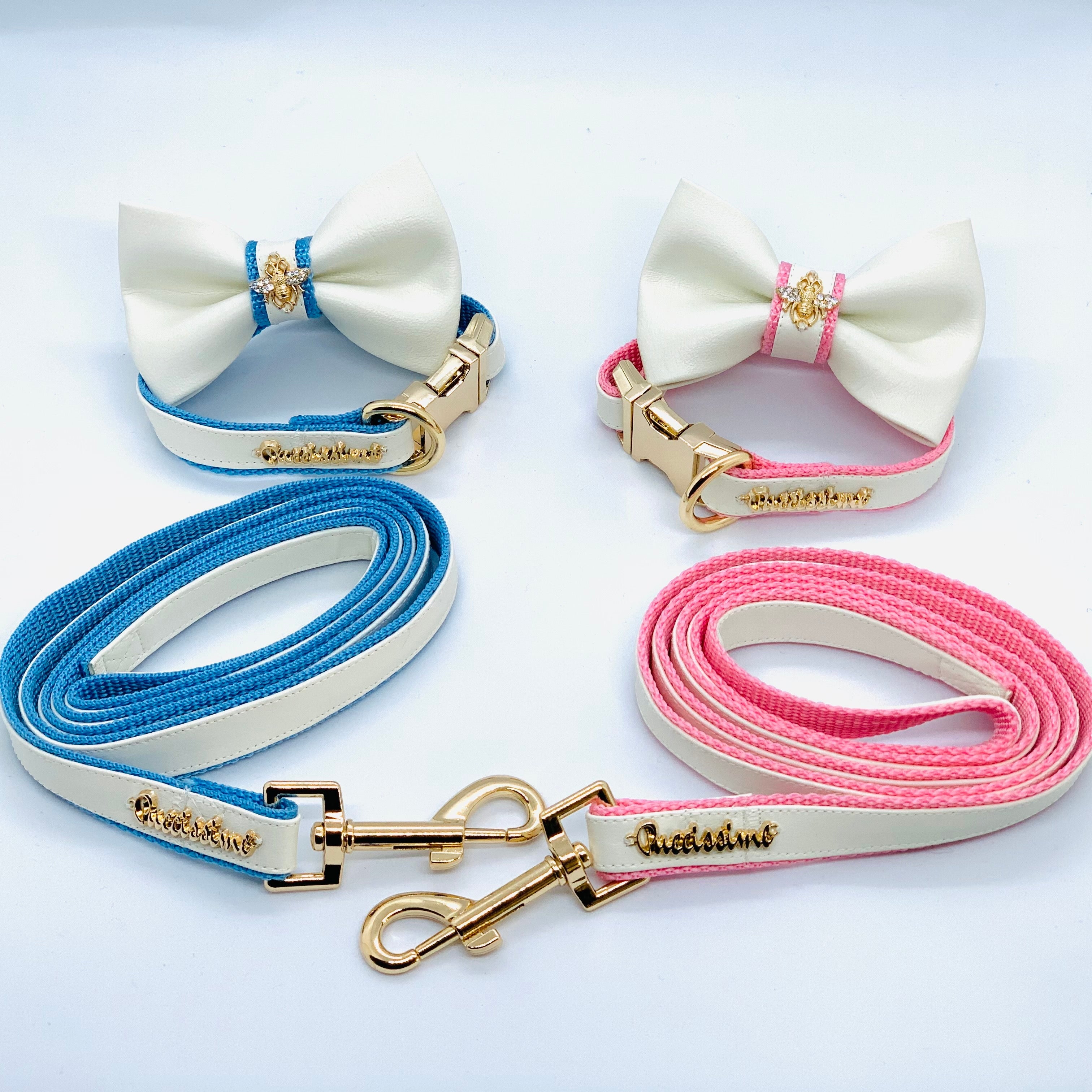 Laisse élégante en cuir pour chiens | Laisse My Baby Girl 