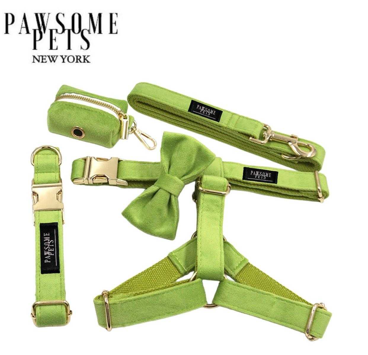 Kit de marche complet chien vert avec harnais, laisse, collier, nœud papillon et distributeur de sacs.