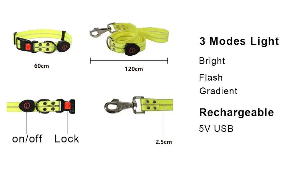 Laisse et collier LED jaune pour chiens, 3 modes lumineux, recharge USB, haute visibilité et étanche pour sécurité nocturne.