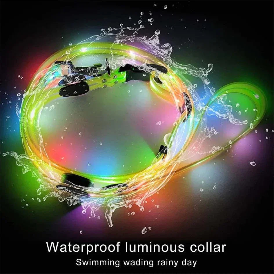 Collier LED lumineux étanche pour chien, sécurité nocturne, rechargeable USB, haute visibilité multicolore