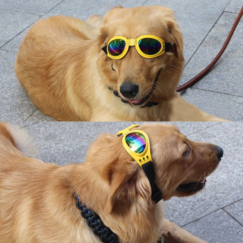 Sunglasses for Dogs & Cats | Protection & Style