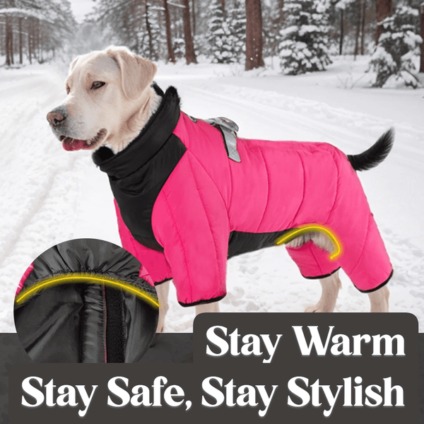 Four-legged dog winter coat | Warm reflective jacket with harness and turtleneck