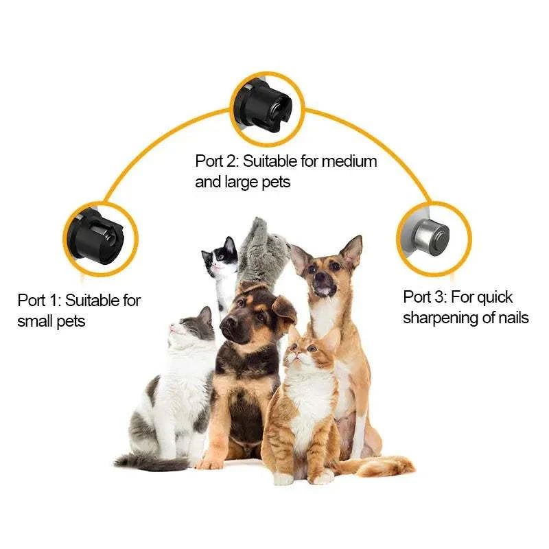 Polisseuse électrique pour griffes animaux blanc avec écran numérique et tête de meulage, pour toilettage sécurisé et silencieux de chiens et chats