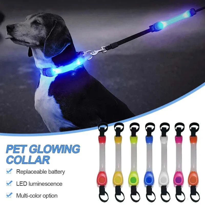 LED glowing dog collar and leash set with replaceable battery and multi-color options for pet safety