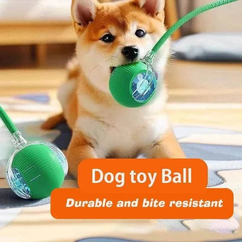 Balle interactive pour chiens en mouvement - jouet anti-ennui intelligent