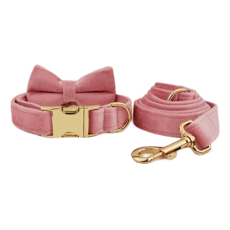 collier en velours rose personnalisable pour chien moyen et grand avec nœud papillon et laisse assortie en métal doré sécurisée
