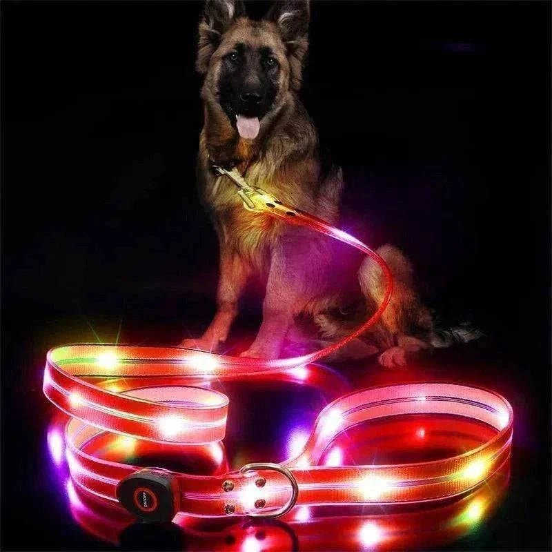 chien avec laisse et collier LED lumineux rechargeables pour sécurité nocturne imperméables visible jusqu’à 500m