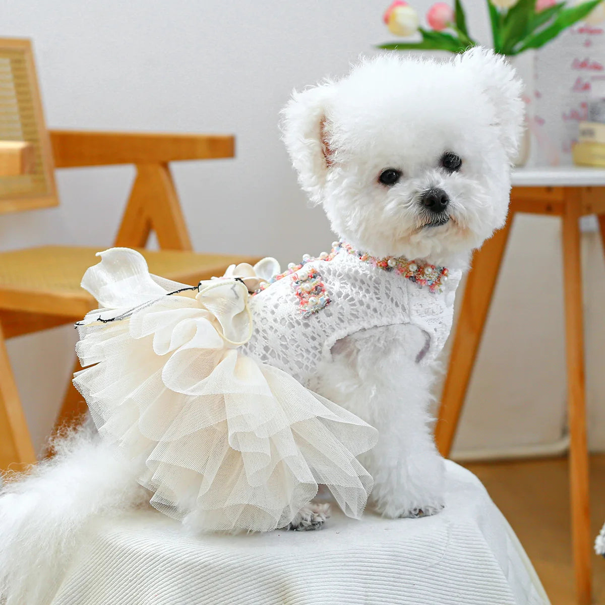 Robe de Luxe pour Petit Chien | Costume Cosplay Princesse pour Yorkshire et Chat