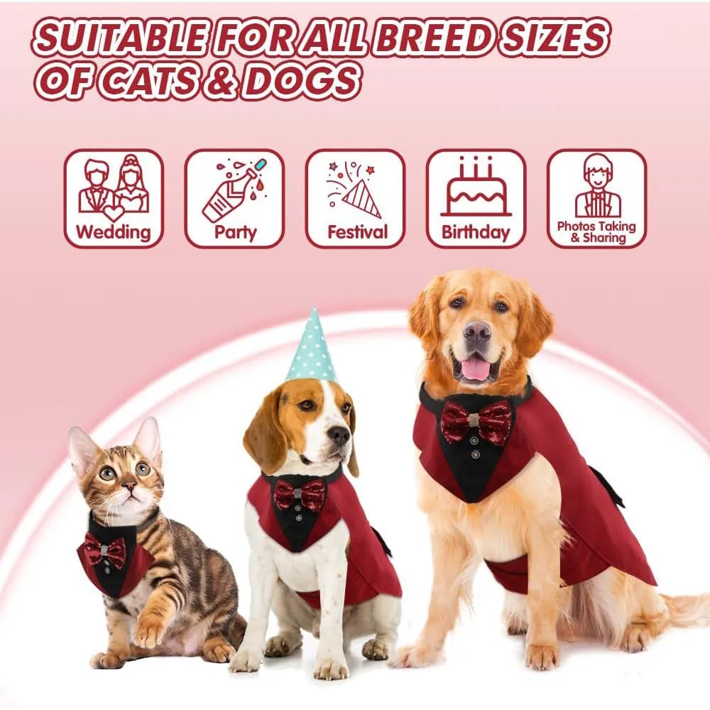 Dog Tuxedo for wedding élégant pour grands chiens | Puppy Chic