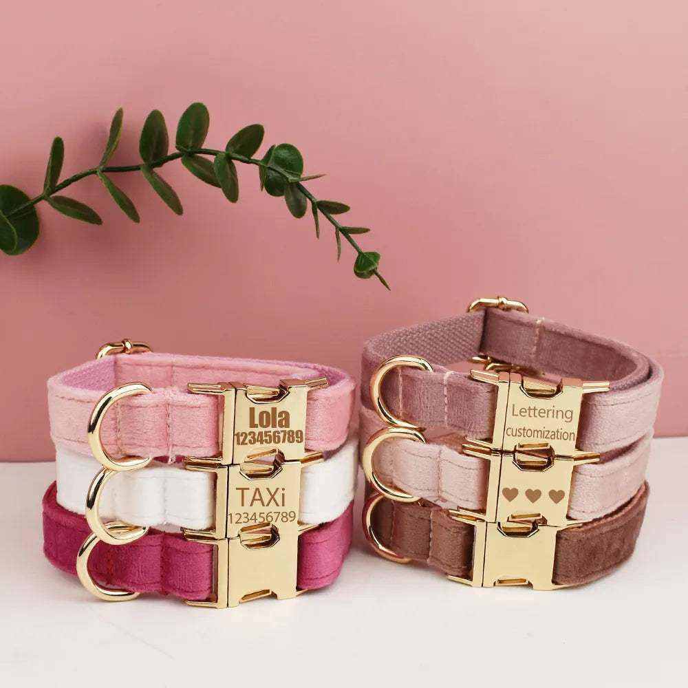 Collier en velours pour chien personnalisé avec gravure gratuite, confortable et élégant pour chiens moyens et grands.