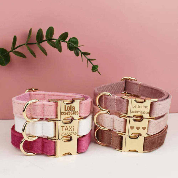 Collar de terciopelo grabado para perro | Comodidad premium e identificación segura