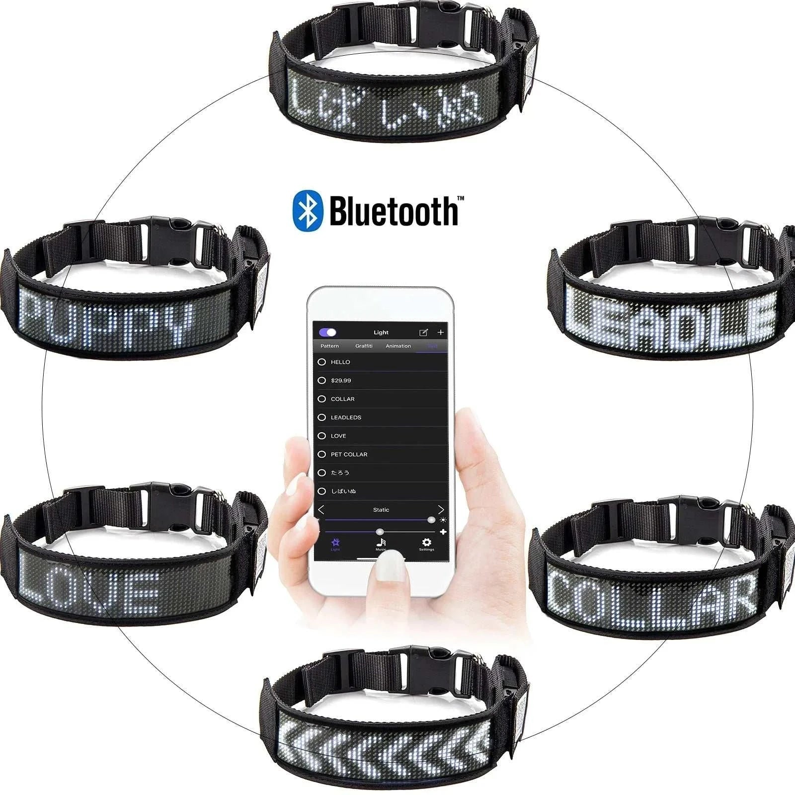 Collier LED Programmable Chien | Blanc