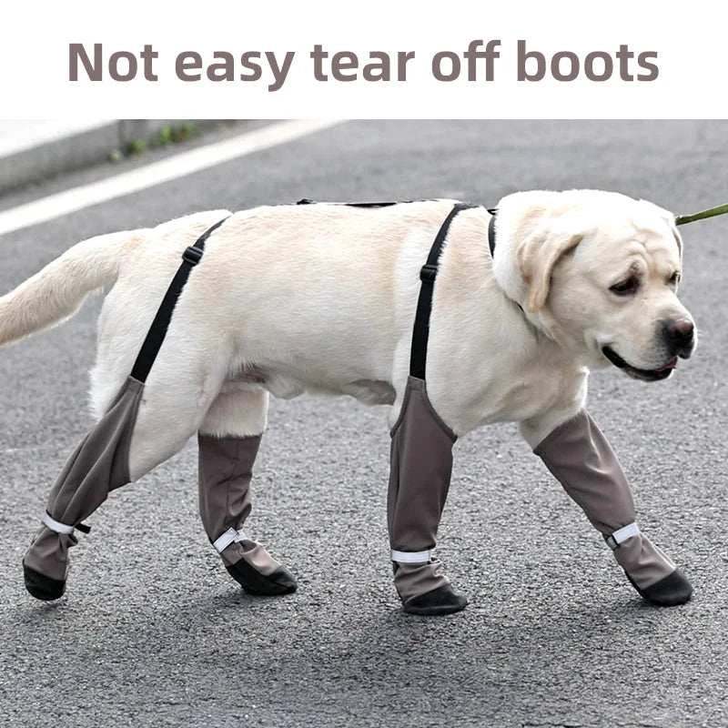 Bottes imperméables pour chiens | Protection, confort & style en promenade