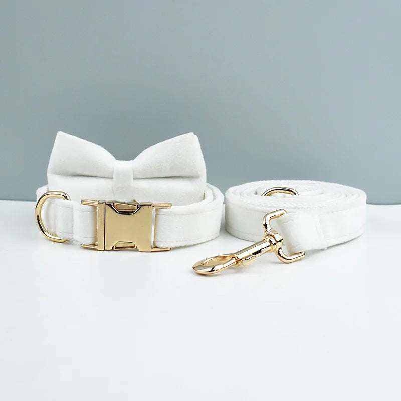 collier en velours blanc personnalisé pour chien avec nœud papillon et laisse assortie élégante et sécurisée