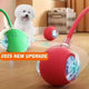 Chien qui joue avec une balle interactive pour chiens - jouet automatique rechargeable