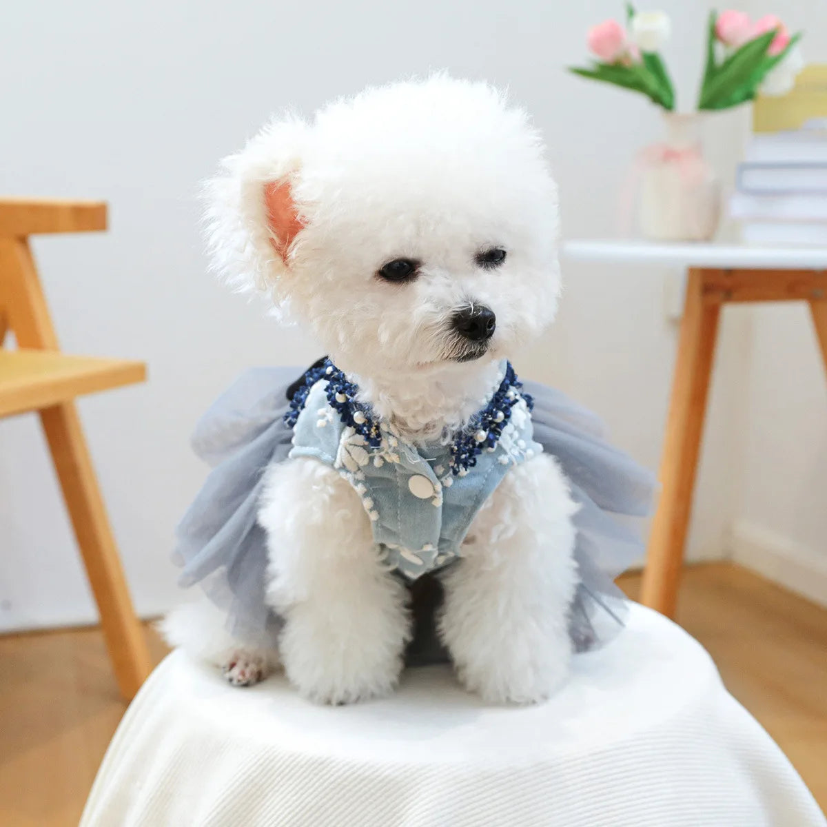 Robe de Luxe pour Petit Chien | Costume Cosplay Princesse pour Yorkshire et Chat