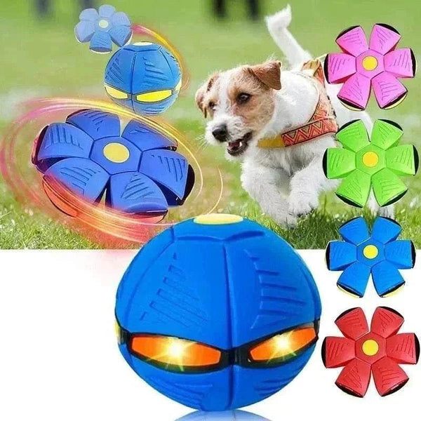 Phlat Ball Transformable pour Chiens | Frisbee & Balle Interactive d’Entraînement Extérieur