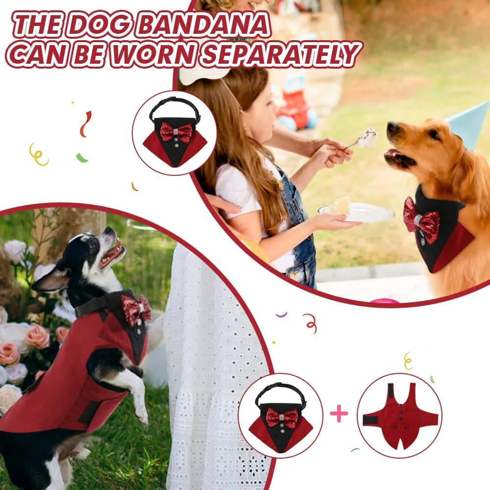 Dog Tuxedo for wedding élégant pour grands chiens | Puppy Chic
